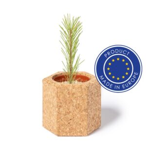 Korktopf mit Pinienkernen für Ihr Marketing